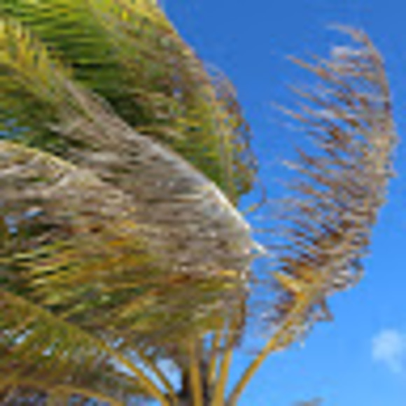 Meet your Posher, Julia - Picture 1 of 1